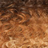 CHARLIE WIG BY EQUAL SHAKE N GO FREETRESS