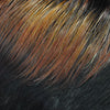 CHARLIE WIG BY EQUAL SHAKE N GO FREETRESS