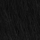 Kima Master Straight 14" 16" 18" w/closure Synthetic MYK04